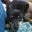 Karen Purington-Cannon's profile image