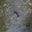 Michelle James's profile image