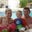 Shawn Richeson's profile image