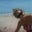 Tiffany Nyquist's profile image