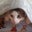 Lynne Swant's profile image