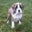 Brandy Jennings's profile image