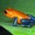 Sean's profile image