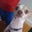 Ashley Godek's profile image
