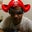 Matt Pakula's profile image
