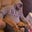 Craig Bushman's profile image