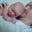 John Arsenault-Rivenburg's profile image