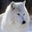 Krazied Willowjade's profile image