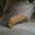 samuel candido's profile image
