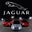 Interactive Jaguar