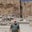 Lee Sandifer's profile image