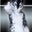 Zero's profile image