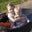 Katie Cawood's profile image