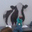 Jeff Rohman's profile image