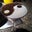 S R's profile image