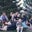 Shelly Ensley's profile image