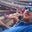 Mike Kiernan's profile image