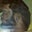Robin Duncan's profile image