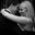Amanda Hammer's profile image