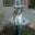 Karen Woodard's profile image