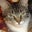 Barb Wilkison's profile image
