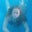 Kristen Ternullo's profile image