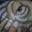 Kevin Beck's profile image