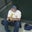 Benjamin Arreguin's profile image