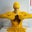 Melissa Rodrigues's profile image