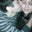 Natalie Perez's profile image