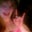 Katherine Rush's profile image