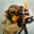 StretchPhoto's profile image