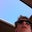 Chris's profile image
