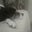 Doris Havner's profile image