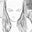 Trudie Clark-Collman's profile image