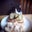 Christine Murphy (Swinimer)'s profile image