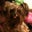 Kelly Nienke-Snodgrass's profile image