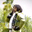 Miguel Marin's profile image