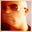 Zach Brown's profile image