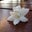 Dorie Duininck's profile image