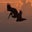 Brian Krause's profile image