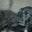 Nancy H Thompson's profile image