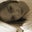 Dona Johnson-Hill's profile image