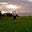 Bryant Balasa's profile image