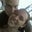 Ashley Long's profile image