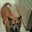 joyce m.'s profile image