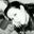 Kellie Liz's profile image