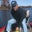 Nick Gilpin's profile image