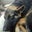 Mary Coury Reitz's profile image