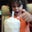 marc calamia's profile image